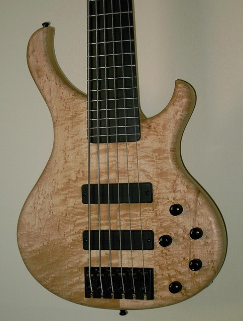 BaseX Body
Vogelaugenahorn
