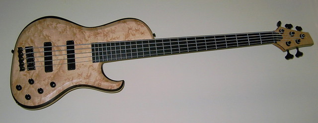 Daily Base Birdseye Maple - Wenge