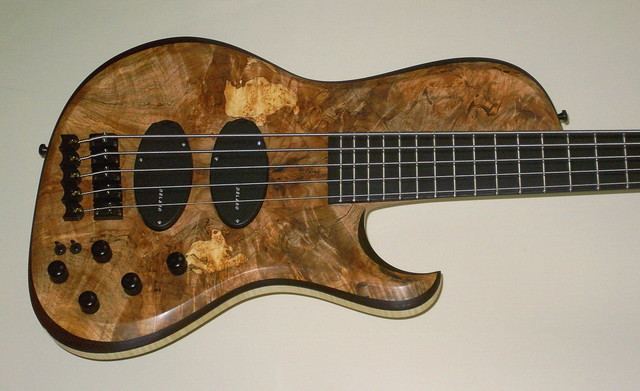 Daily Base Korpus Spalted Maple DELANO X-Tender Pickups