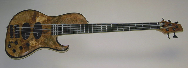 Daily Base Spalted Maple DELANOX-Tender Pickups