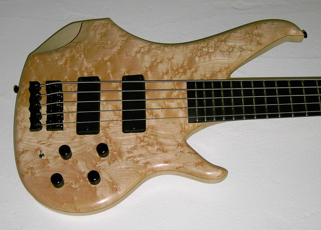 Max Body Birdseye Maple Top
