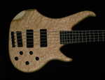 Max Body Birdseye Maple