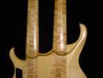 Stefan's Doppelhalsbass von hinten....