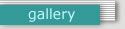 Galery Human Base Instruments